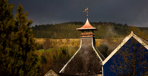 Glenfiddich Distillery