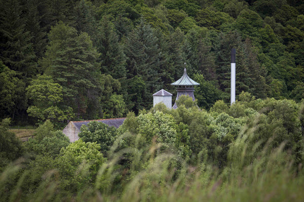 (The pagoda at Speyburn distillery, visible over a line of trees) Speyburn is one of Scotch whisky's hidden gems, both in terms of location and publicity