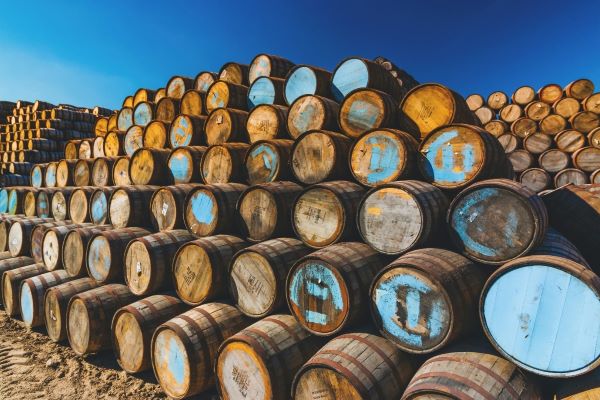 Barrels of whisky 