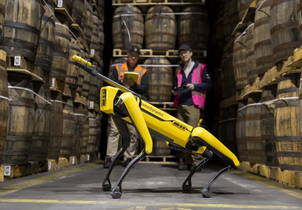 Royal Barkla, the whisky sniffing robotic dog